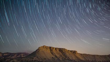 羽毛球世锦赛女单决赛,陈雨菲获得亚军